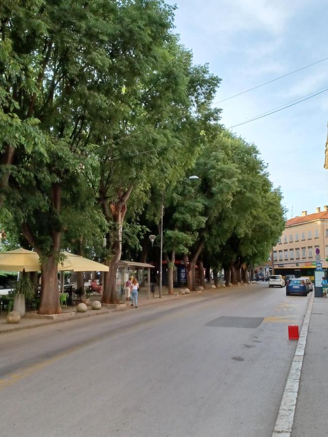 Caligula City Center Apartment Pula Zewnętrze zdjęcie